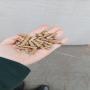 Offer wood pellet with certification En plus A1.