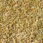 riz non décortiqués bio