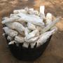 manioc bio africain 