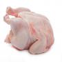 Chicken Poulet 