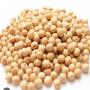 Non-GMO Soya Bean (above 38% protein)