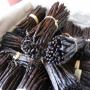 Wholesale Bourbon vanilla beans from Madagascar