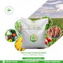 substrat enrichi pour Agriculture bio