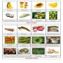 formation de vendeurs de fruits et legumes