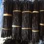 Sale of vanilla pods from Madagascar