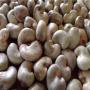 soja,  anacarde,  cacao,  