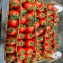 tomate en provenance de la sicile italie  