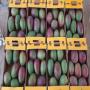 Mangue kent noix de cajou maïs haricot