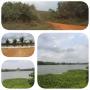 terrain propice pour complexe htelier