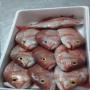 vente de poissons frais du sngal par avion