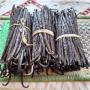 Vanilla beans exporter from Madagascar 