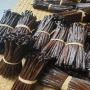 Wholesale vanilla beans from Madagascar