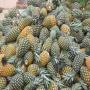avocat, ananas, noix de cajou 