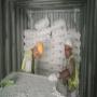 plaster 40kg 