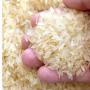 RIZ  -IR 64  et toutes vari&eacute;t&eacute;s de riz