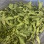 herbes aromatiques et medicinales
