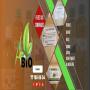 des poudres 100% bio