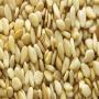 sesame