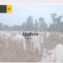 Commercialisation de viandes