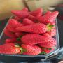 Fraise direct producteur 