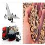 solution transport et stockage pellets