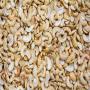 cashnew nuts quality 