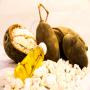 baobab,  bissap,  moringa,  gomme arabique et acajou