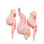 ailes de poulet/chicken wings
