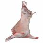 réserver votre agneau pour l'aïd