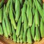 centrales d'achat ;grossistes ;produicteurs