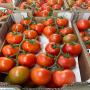 Wholesaler vegetables and fruits 