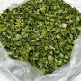 Moringa origine asie en gros