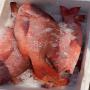 exportateur de poissons crustaces frais congeles