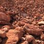 clients potentiels a l'achat de la bauxite 