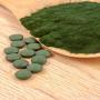 Producteur spiruline chlorelle phycocianine