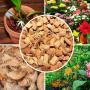 vente alimentation bétail et litière 