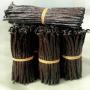 Supplier of Best Quality Vanilla beans Madagascar