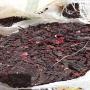 Hibiscus s&eacute;ch&eacute;, naturel et riche en saveurs 