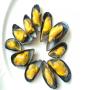 moules de bouchot et de cordes