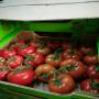  tomates frais 