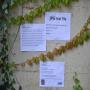 huile olive bio Pre-matur&eacute;e extra vierge- CRETE