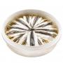 sardine marine filet d'anchoix thon