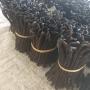 Supplier of Grade A vanilla beans from Madagascar