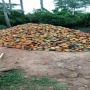 Cacao de qualit&eacute; prenium 