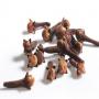 Supplier of  Dried  Cloves from Madagascar  