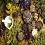 plantes et des herbes aromatiques et cosm&eacute;tiques