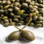 Capres et Caprons de Syrie 1500 tonnes ( Capers )