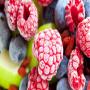 Fruit legumes surgeles. 