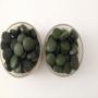 Producteur de spiruline et chlorelle bio