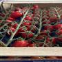 tomate datterino provenance de la Sicile en gros 